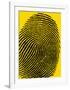 Fingerprints-null-Framed Art Print