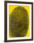 Fingerprints-null-Framed Art Print