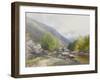 Fingle Bridge on the Teign , C.1895-96-Frederick John Widgery-Framed Giclee Print