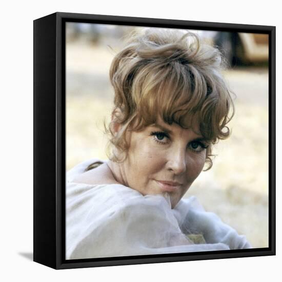 FINIAN'S RAINBOW, 1968 directed by FRANCIS FORD COPPOLA Petula Clark (photo)-null-Framed Stretched Canvas