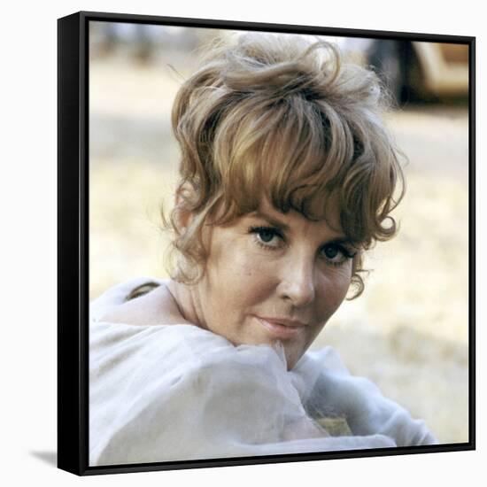 FINIAN'S RAINBOW, 1968 directed by FRANCIS FORD COPPOLA Petula Clark (photo)-null-Framed Stretched Canvas