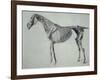 Finished Study for the Fifth Anatomical Table of a Horse-George Stubbs-Framed Giclee Print