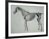 Finished Study for the Fifth Anatomical Table of a Horse-George Stubbs-Framed Giclee Print