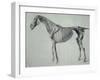 Finished Study for the Fifth Anatomical Table of a Horse-George Stubbs-Framed Giclee Print