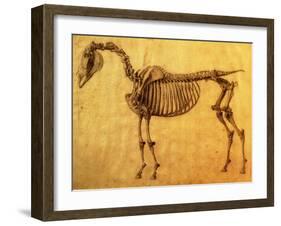 Finished Study for the First Skeletal Table of a Horse, circa 1766-George Stubbs-Framed Giclee Print