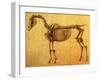 Finished Study for the First Skeletal Table of a Horse, circa 1766-George Stubbs-Framed Giclee Print