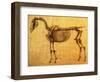 Finished Study for the First Skeletal Table of a Horse, circa 1766-George Stubbs-Framed Giclee Print