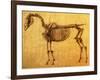 Finished Study for the First Skeletal Table of a Horse, circa 1766-George Stubbs-Framed Giclee Print