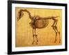 Finished Study for the First Skeletal Table of a Horse, circa 1766-George Stubbs-Framed Giclee Print