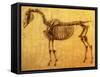 Finished Study for the First Skeletal Table of a Horse, circa 1766-George Stubbs-Framed Stretched Canvas