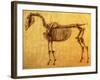 Finished Study for the First Skeletal Table of a Horse, circa 1766-George Stubbs-Framed Giclee Print