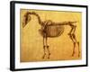 Finished Study for the First Skeletal Table of a Horse, circa 1766-George Stubbs-Framed Giclee Print