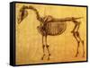 Finished Study for the First Skeletal Table of a Horse, circa 1766-George Stubbs-Framed Stretched Canvas