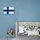 Finland Flag Design with Wood Patterning - Flags of the World Series-Philippe Hugonnard-Mounted Art Print displayed on a wall