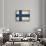 Finland-David Bowman-Giclee Print displayed on a wall