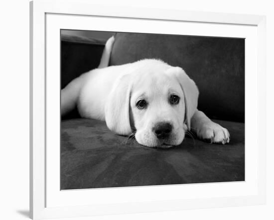 Finn-Kim Levin-Framed Photographic Print