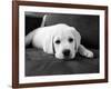 Finn-Kim Levin-Framed Photographic Print