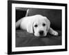 Finn-Kim Levin-Framed Photographic Print