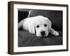 Finn-Kim Levin-Framed Photographic Print