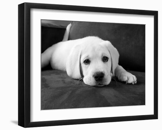 Finn-Kim Levin-Framed Photographic Print