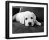 Finn-Kim Levin-Framed Photographic Print