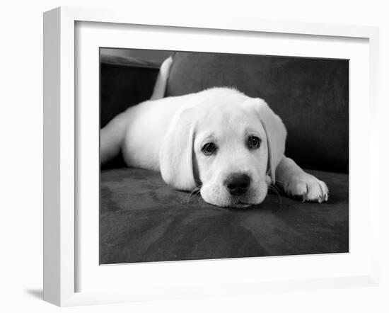 Finn-Kim Levin-Framed Photographic Print