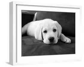 Finn-Kim Levin-Framed Photographic Print