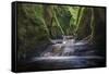 Finnich Glen-mountaintreks-Framed Stretched Canvas