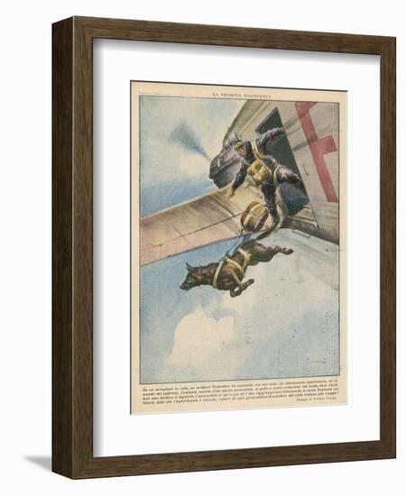 Finnish Parachutist Jumps with His Dog-Vittorio Pisani-Framed Photographic Print