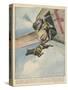 Finnish Parachutist Jumps with His Dog-Vittorio Pisani-Stretched Canvas