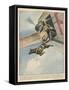 Finnish Parachutist Jumps with His Dog-Vittorio Pisani-Framed Stretched Canvas