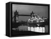 Finnpartner Ferry at Tower Bridge-null-Framed Stretched Canvas