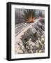 Finns Destroy Railway-null-Framed Art Print