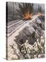 Finns Destroy Railway-null-Stretched Canvas