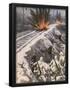 Essential Black