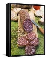 Finocchiona, Tuscan Salami with Wild Fennel Seeds, Florence, Tuscany, Italy, Italian Gastronomy-Nico Tondini-Framed Stretched Canvas