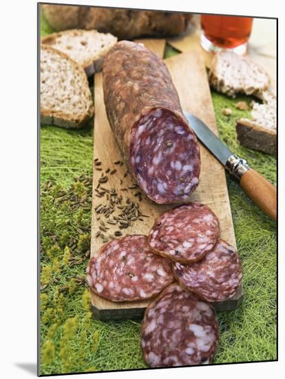 Finocchiona, Tuscan Salami with Wild Fennel Seeds, Florence, Tuscany, Italy, Italian Gastronomy-Nico Tondini-Mounted Premium Photographic Print