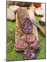 Finocchiona, Tuscan Salami with Wild Fennel Seeds, Florence, Tuscany, Italy, Italian Gastronomy-Nico Tondini-Mounted Photographic Print