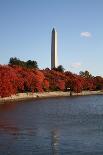 Lincoln Memorial in Autumn-fintastique-Photographic Print