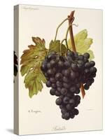 Fintendo Grape-A. Kreyder-Stretched Canvas