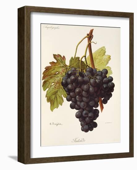 Fintendo Grape-A. Kreyder-Framed Giclee Print