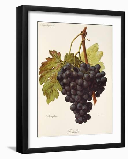 Fintendo Grape-A. Kreyder-Framed Giclee Print