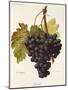 Fintendo Grape-A. Kreyder-Mounted Giclee Print