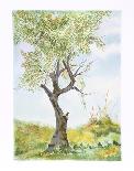 Cherry Tree in Norwood Glen-Fioravanti-Framed Limited Edition