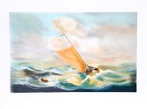 Sail in the Storm-Fioravanti-Framed Limited Edition