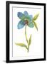 Fiore Blu III-Sandra Jacobs-Framed Giclee Print