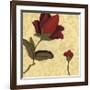 Fiore Poema I-Lee Anderson-Framed Giclee Print