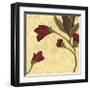 Fiore Poema II-Lee Anderson-Framed Giclee Print