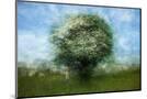 Wood Mount