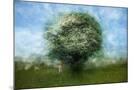 Wood Mount